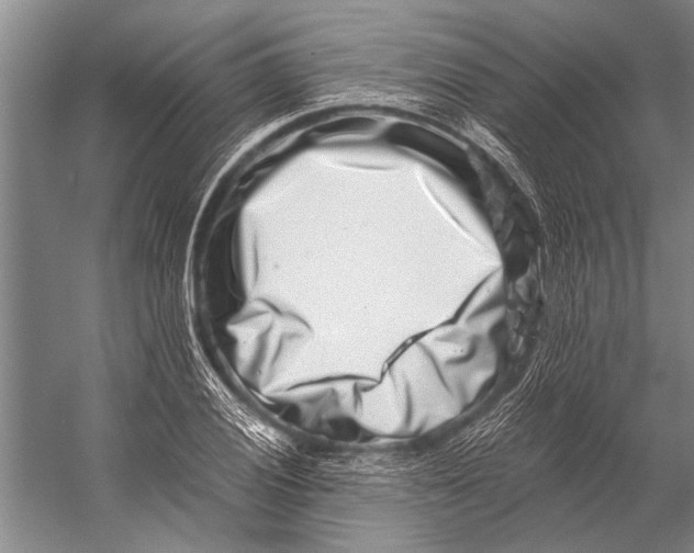 X0000056321028200509161638