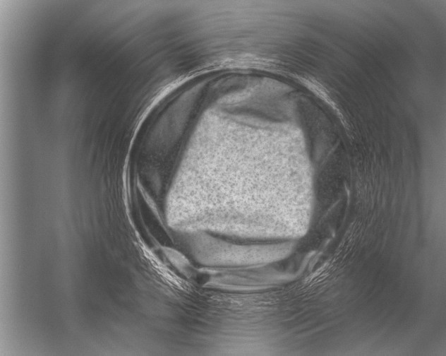 X0000056321032200509161638
