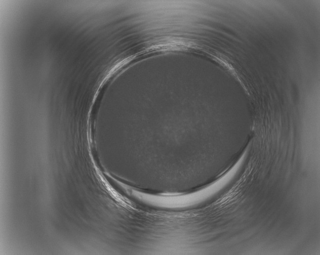 X0000056321034200509161638