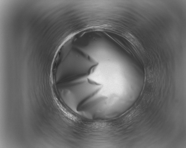 X0000056321036200509161638