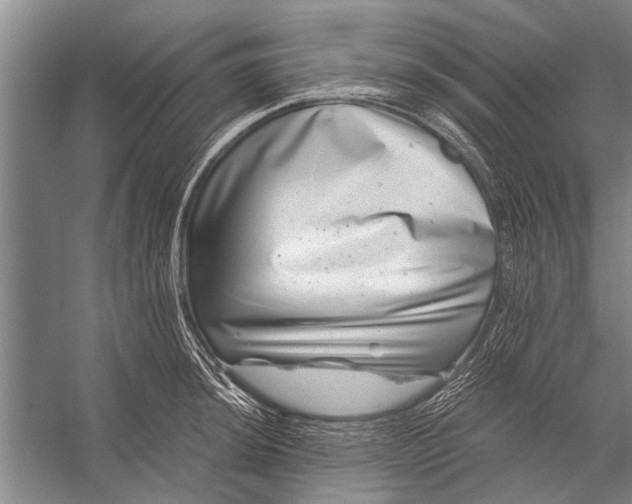 X0000056321044200509161638