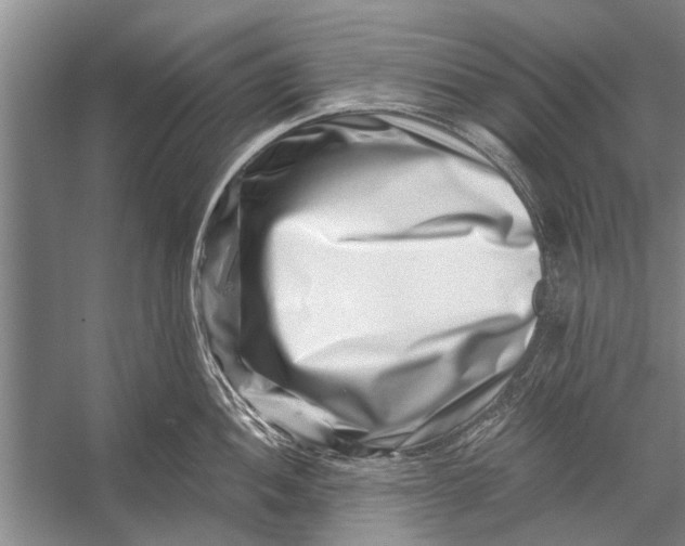 X0000056321052200509161638