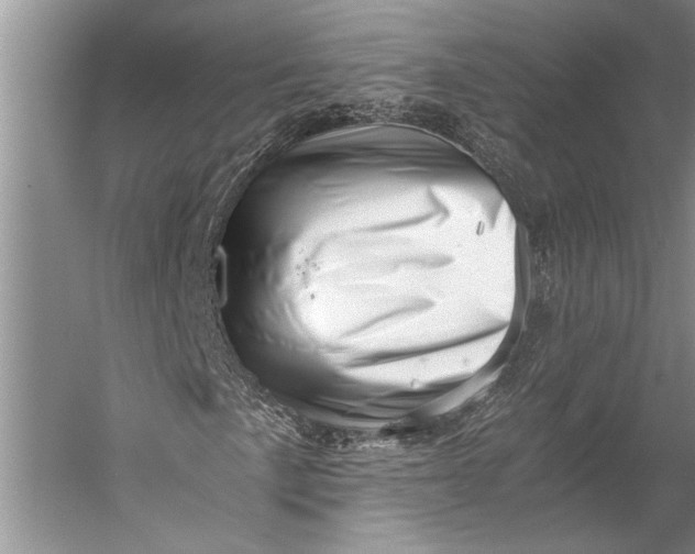 X0000056321057200509161637