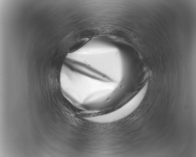 X0000056321058200509161637