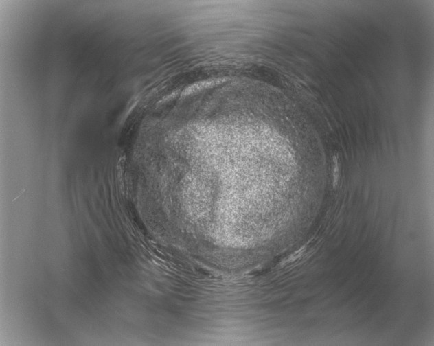 X0000056321059200509161637