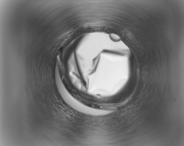 X0000056321062200509161637