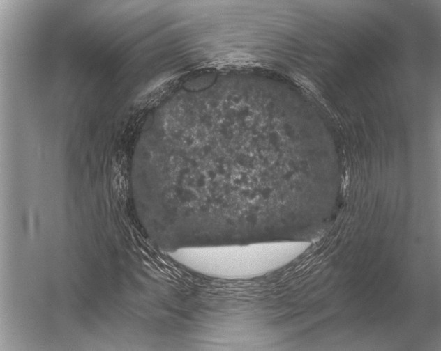 X0000056321063200509161637