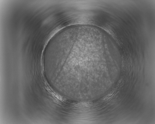 X0000056321078200509161637