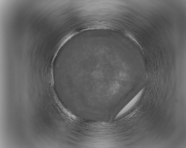 X0000056321079200509161637