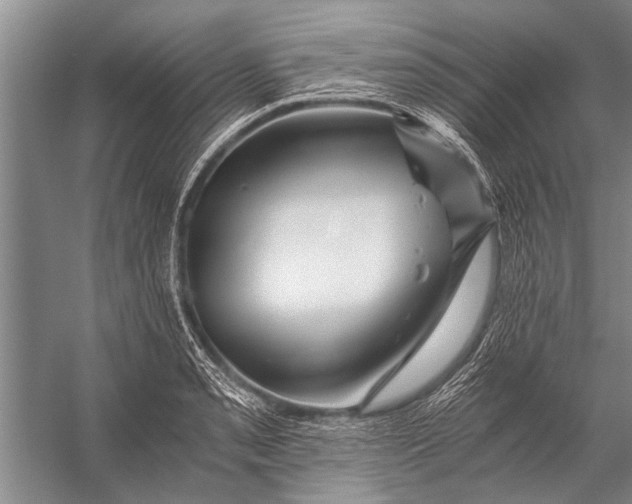 X0000056321085200509161637