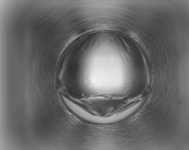 X0000056321089200509161637