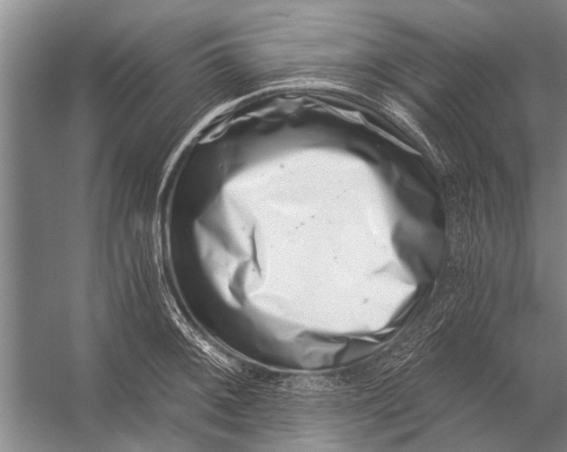 X0000056321092200509161637