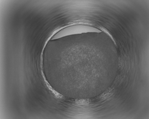 X0000056321099200509161637