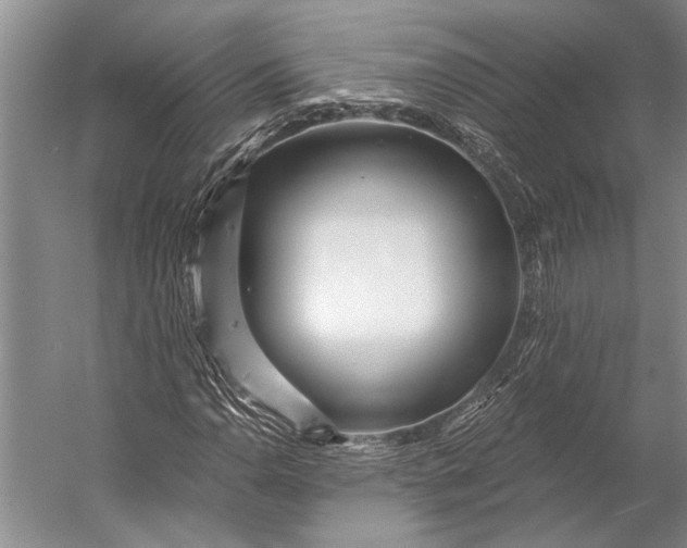 X0000056321110200509161636