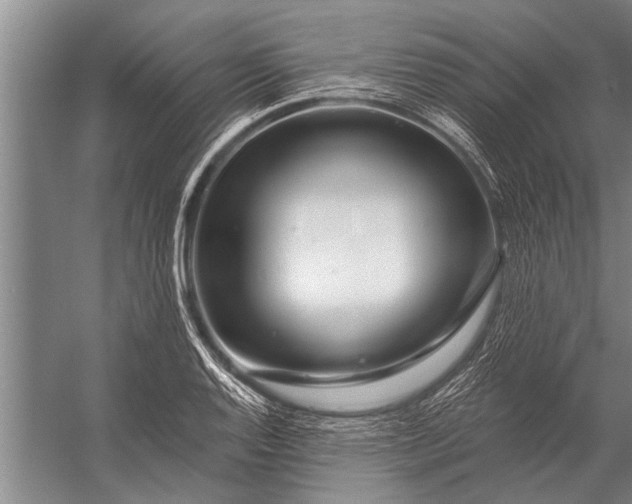 X0000056321128200509161636