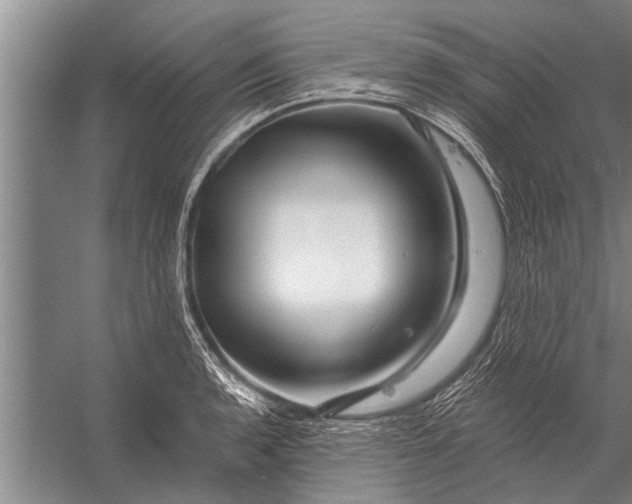 X0000056321136200509161636