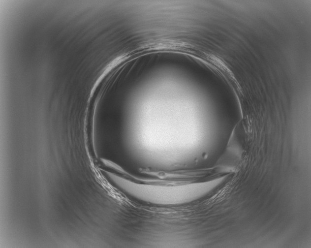 X0000056321138200509161636