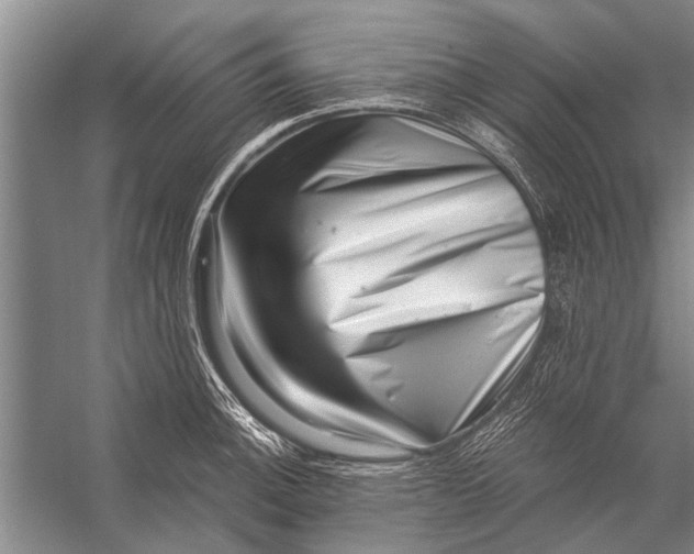X0000056321140200509161636