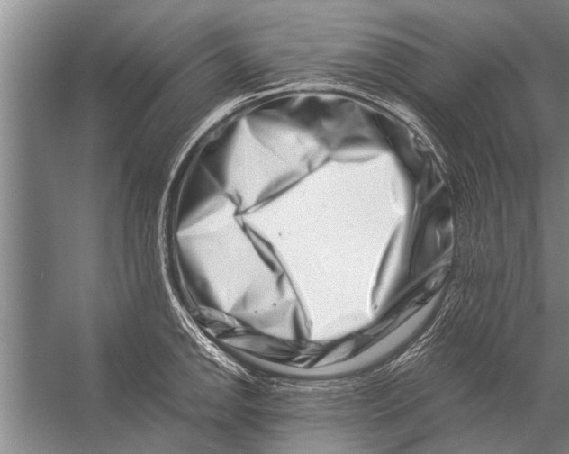 X0000056321142200509161636