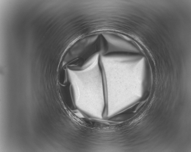 X0000056321145200509161636