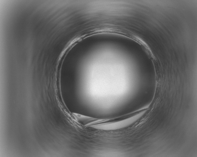 X0000056321146200509161636