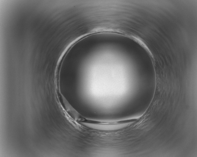X0000056321148200509161636