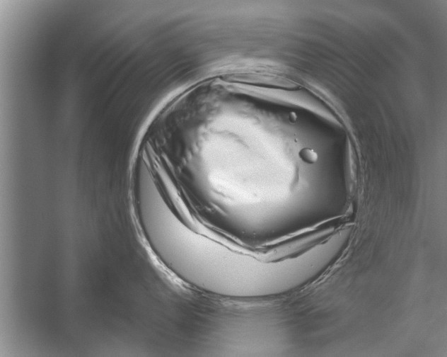 X0000056321152200509161636