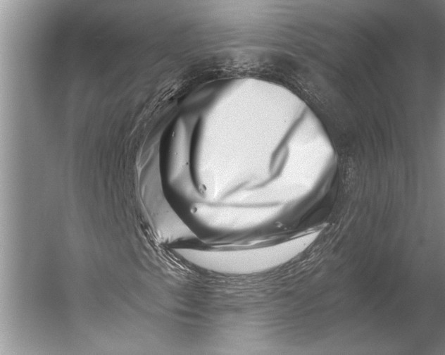 X0000056321153200509161636