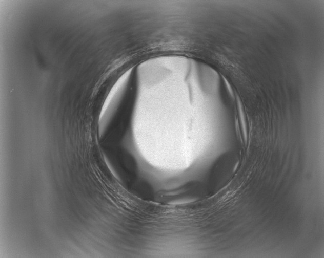 X0000056321166200509161635
