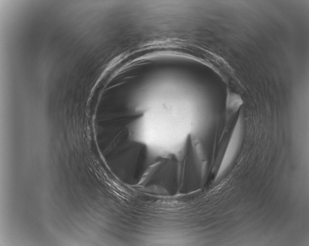 X0000056321168200509161635