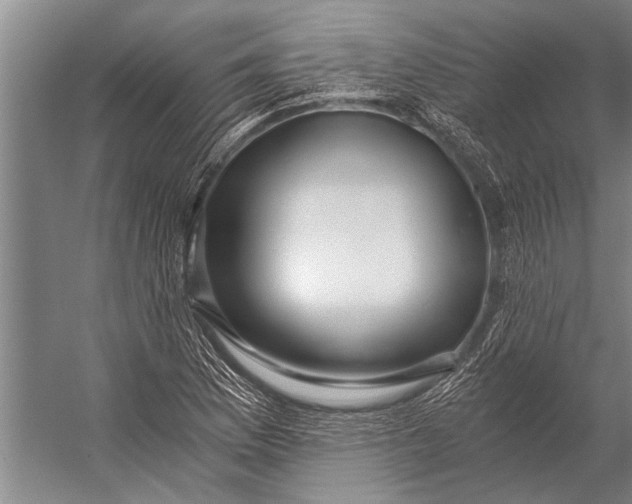 X0000056321169200509161635