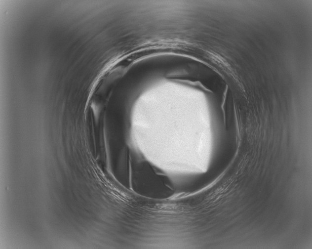 X0000056321172200509161635