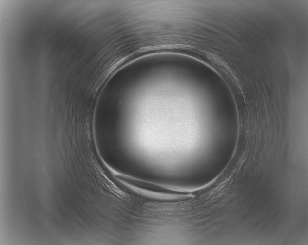 X0000056321177200509161635