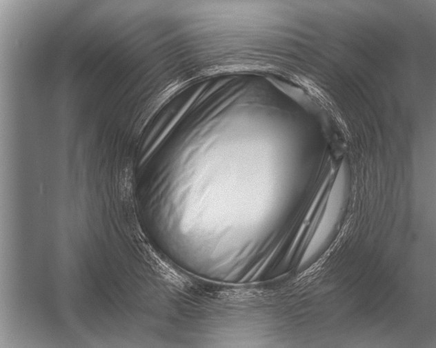 X0000056321185200509161635