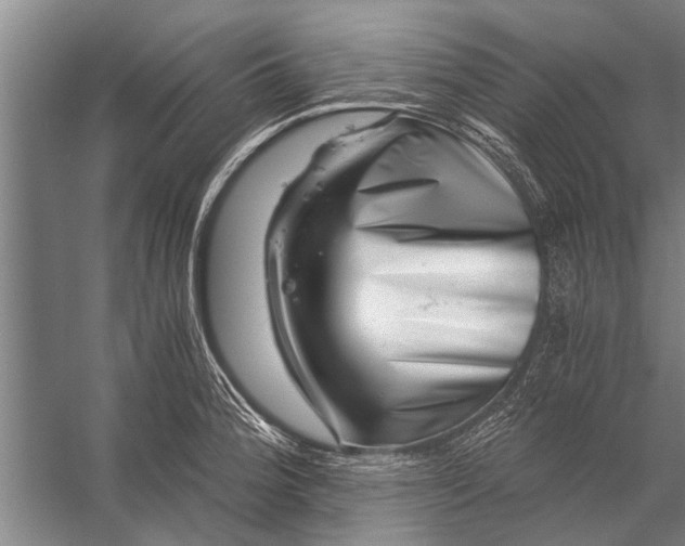 X0000056321188200509161635