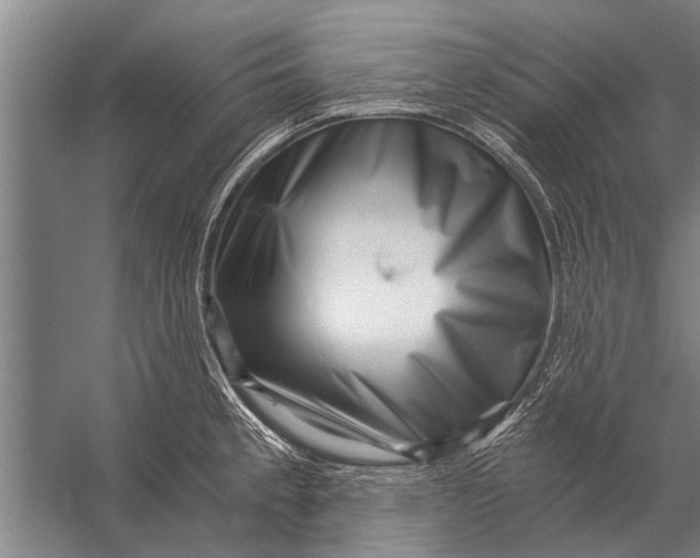 X0000056321189200509161635