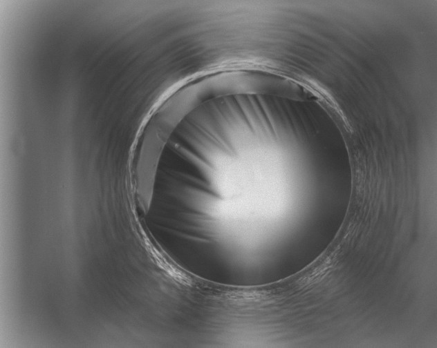 X0000056321192200509161635