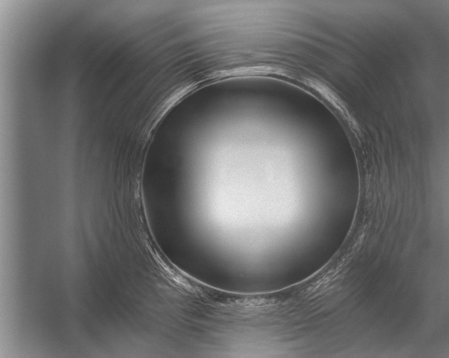 X0000056321193200509161635