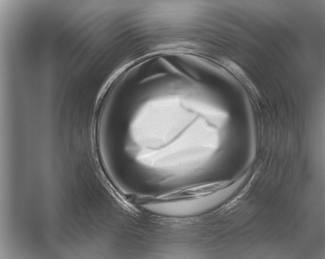 X0000056321196200509161635