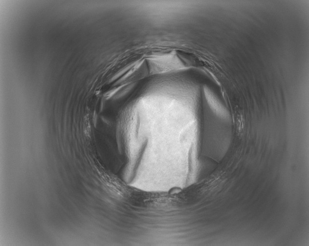 X0000056321204200509161634