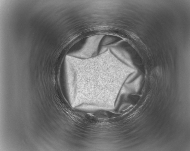 X0000056321209200509161634