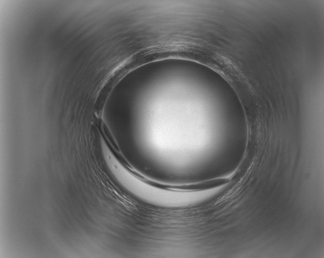 X0000056321210200509161634