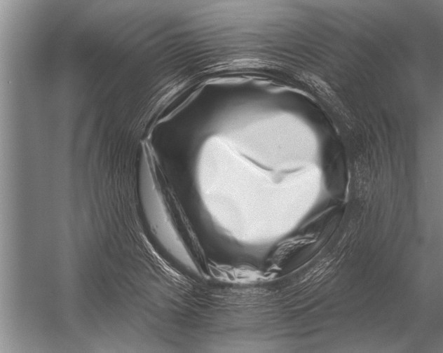 X0000056321225200509161634