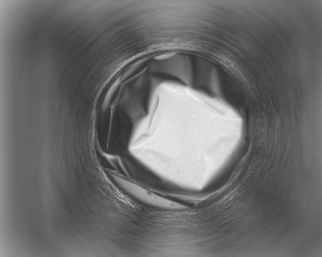 X0000056321228200509161635