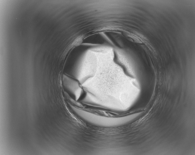 X0000056321241200509161635
