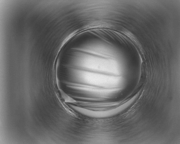 X0000056321242200509161635