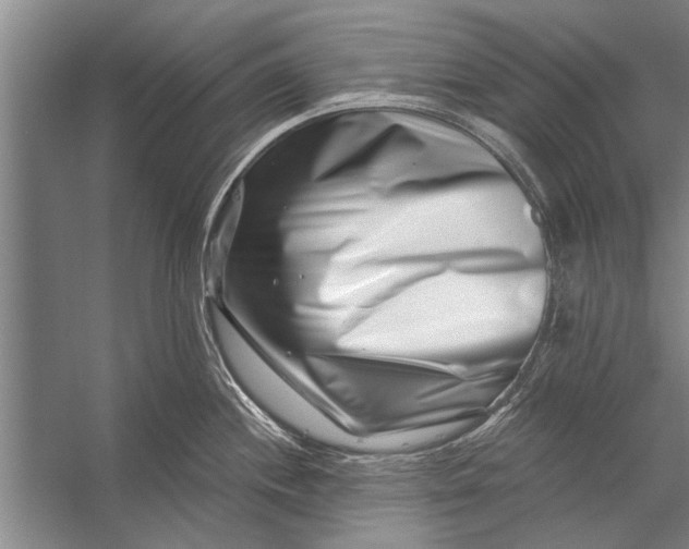 X0000056321244200509161635