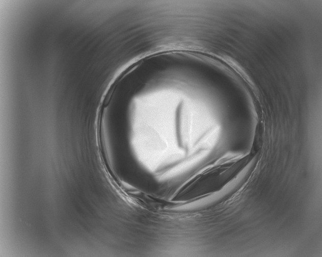 X0000056321246200509161635