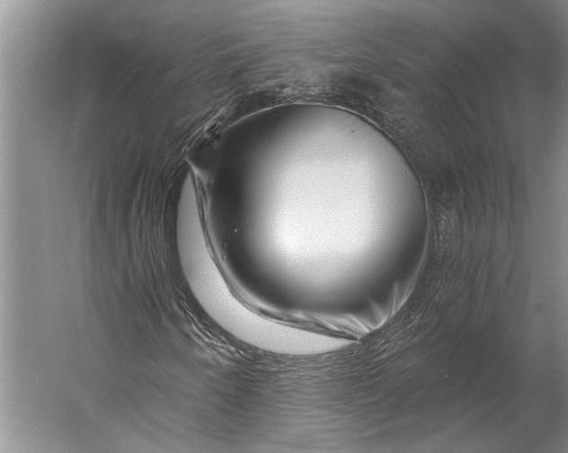 X0000056321250200509161634