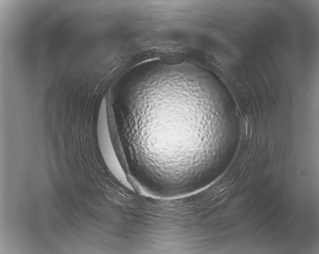 X0000056321251200509161634